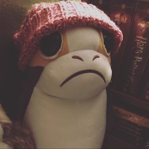 Meet your Posher, Casey